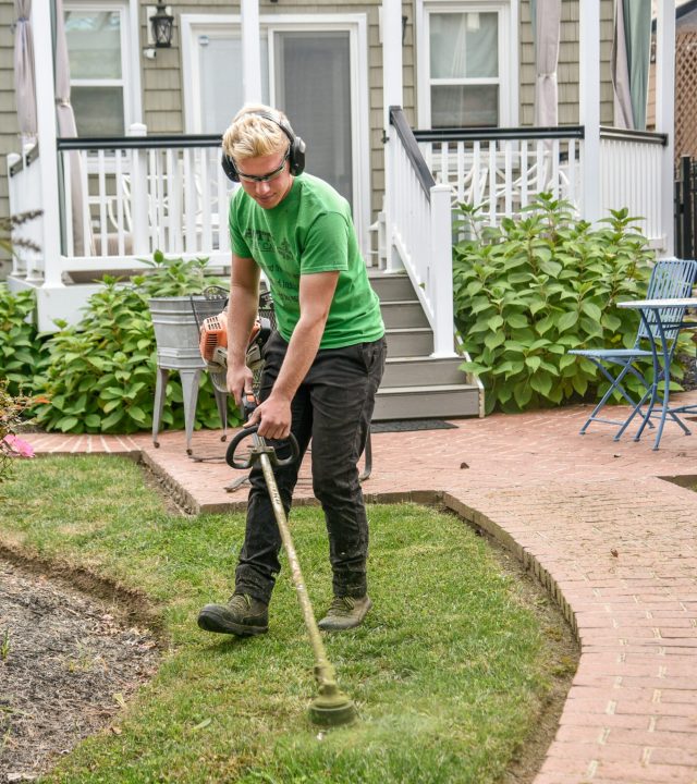 landscaping